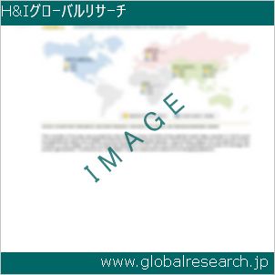 グローバルリサーチ調査レポートのイメージ